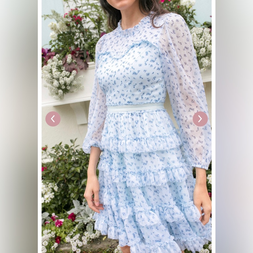 Ivy City Co Samantha Dress